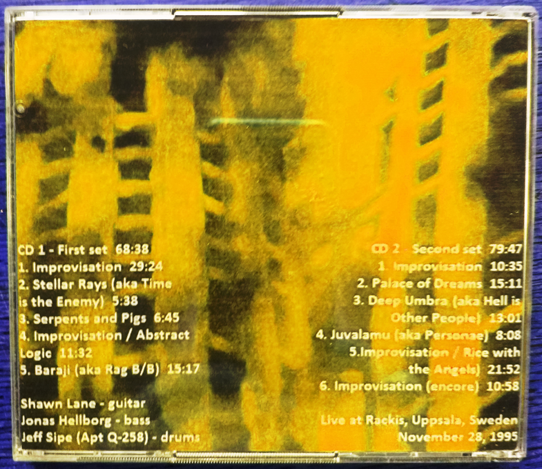 HellborgLaneSipe1995-11-28RackisUppsalaSweden (1).png